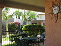 Wide, covered garden side porches
along two sides, adjacent to
pool and palapa.