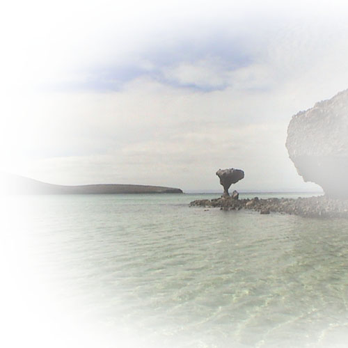 Near La Paz,
Balandra's charm draws tourists from near and far.