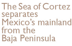 The Sea of Cortez separates Mexico's mainland from the Baja Peninsula.